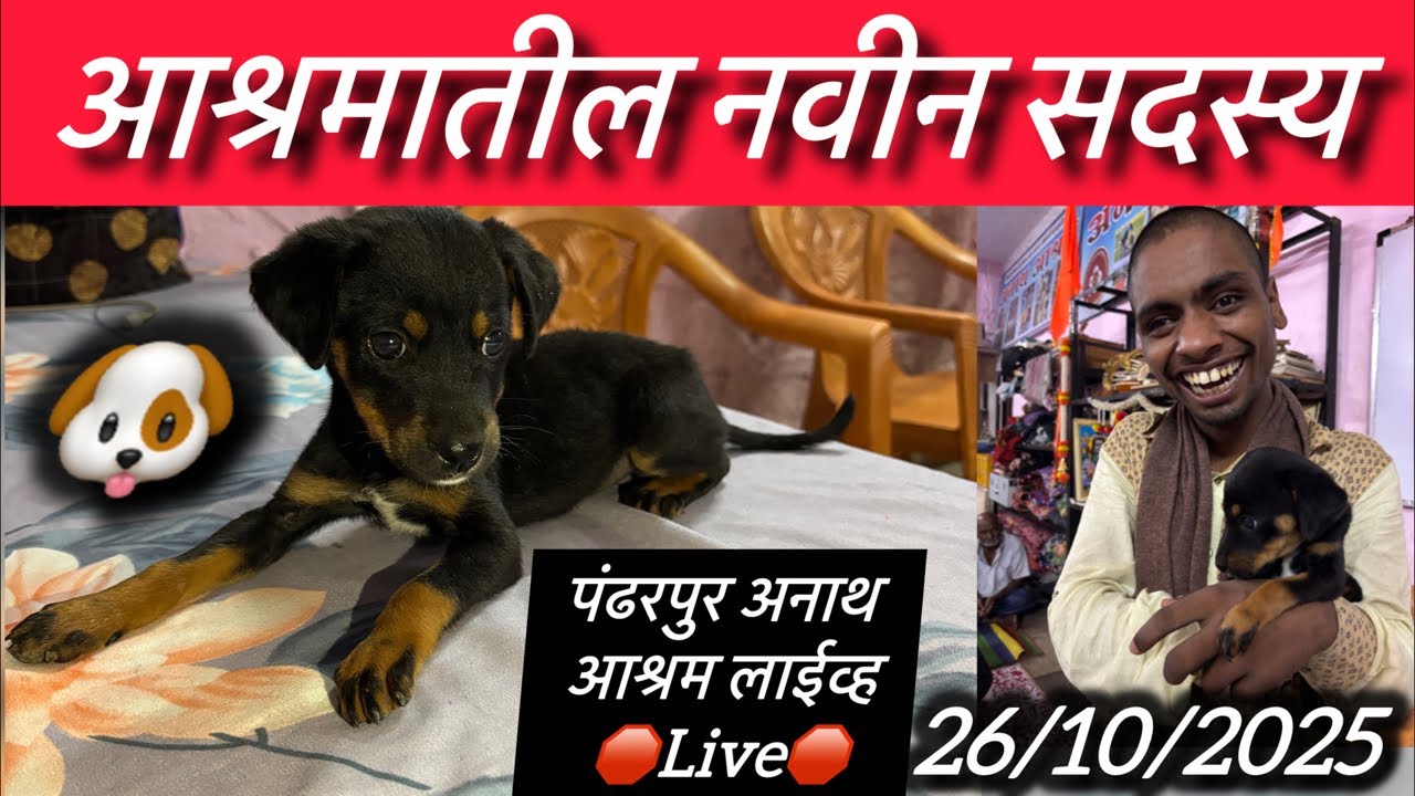 आश्रमातील नवीन समस्यांमुळे आनंदी वातावरण झाल🛑Live🛑पंढरपूर अनाथ आश्रम लाईव्ह