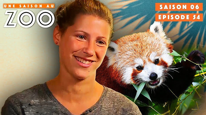 Grand Jour : Les Bébés Pandas Roux vont être Baptisés ! | S06EP54 | Intégrale | Une saison au zoo