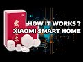 Как работают шлюз и ZigBee датчики Xiaomi - подробный обзор