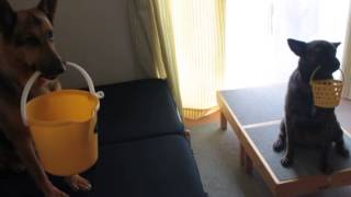 20140801-2