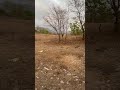 Plot for sale at Khopoli Pali Road 8788035368