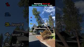 Ranking Best Of Down Towering Tree 😏 #viral #tree #trending