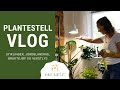 PLANTESTELL VLOG | Roter stiklinger, vekstlys, bruktkjøp, jordblanding og semi hydro