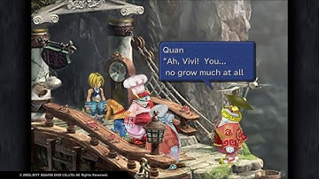 Final Fantasy IX - Quan