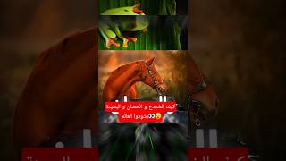 كيف الضفدع و الحصان و البسينة بشوفوا العالم👀😮