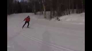 V2 skate skiing technique Profile