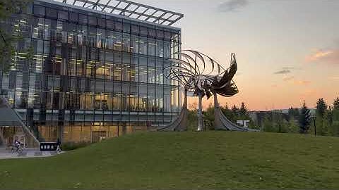 Exploring the University of Calgary | Campus walkthrough | 4K Ultra HD