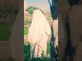 يايوسفي عود ارجع يا موعود يايوسفي عود ارجع يا موعود