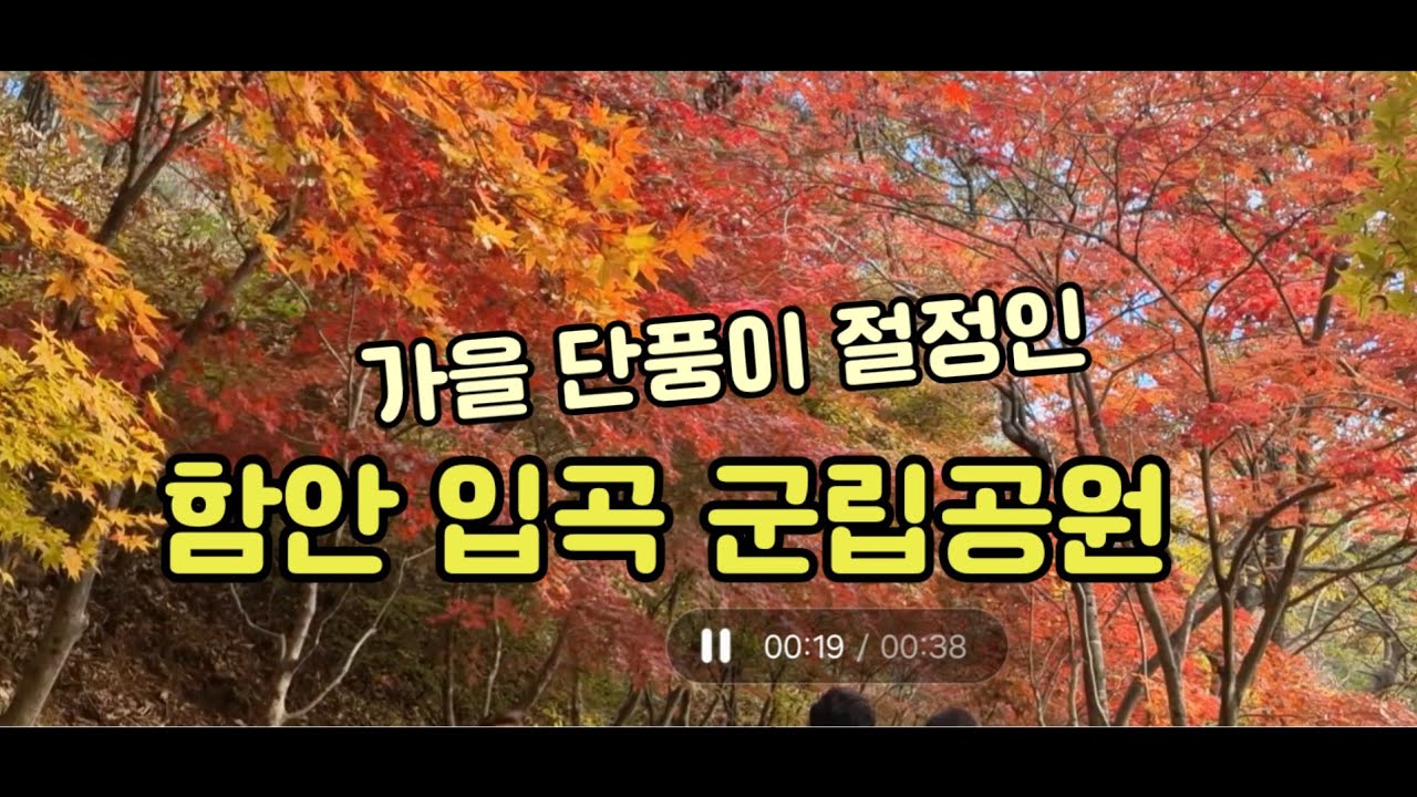 가을 단풍이 절정인 ♧경남 함안 입곡 군립공원 ♧ 2025.11.16