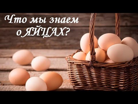 Что мы знаем о ЯЙЦАХ?! Как они могут повлиять на наше ЗДОРОВЬЕ?!