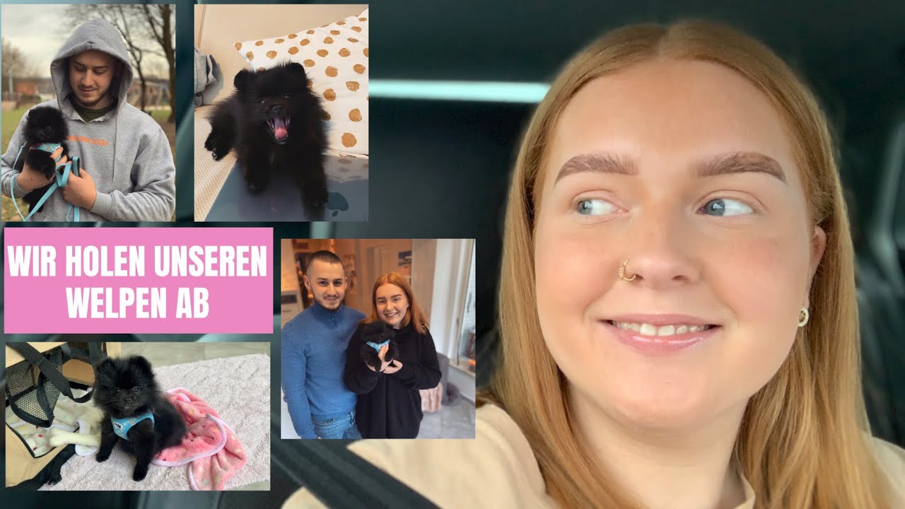 WIR HOLEN UNSEREN WELPEN AB & DIE ERSTEN TAGE ZUHAUSE // POMERANIAN // ZWERGSPITZ // ZURA // LILLI