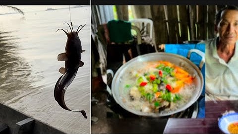 Bữa nay ra sông lớn câu cá cặp bờ cù lau dung thuộc sông hậu 