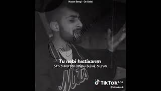 Hozan Bengi - Oy Delal (Kürtçe - Türkçe Şarkı Sözleri ) Resimi