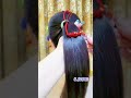 साधारण पोनीटेल को कहें अलविदा! 😱 #shorts #hairhacks #hairstyle #hair #braids