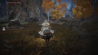 ELDEN RING 艾尔登法环 欺负一下湖之利耶尼亚的小黄金树boss