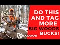 Get More out of Your Big Woods Trail Cameras! Annual Trail Camera Data