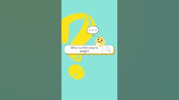 Funny Joke for Kids #13