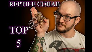 Reptile Cohabitation, The Top 5 Reptiles That Can Cohab Successfully And How To Do It