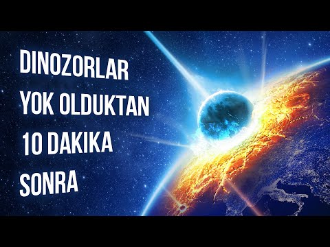 Dinozorların Nesli Tükendikten 10 Dakika Sonra Neler Olduğunu İzleyin