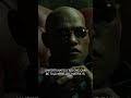 Red pill or blue pill? Choose wisely. 🔴🔵 #TheMatrix
