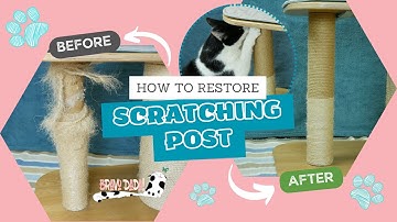 DIY How To Refurbish/Restore a Cat Scratching Post – Repair a Cat Tree Scratcher Pole – Bravo Dada!
