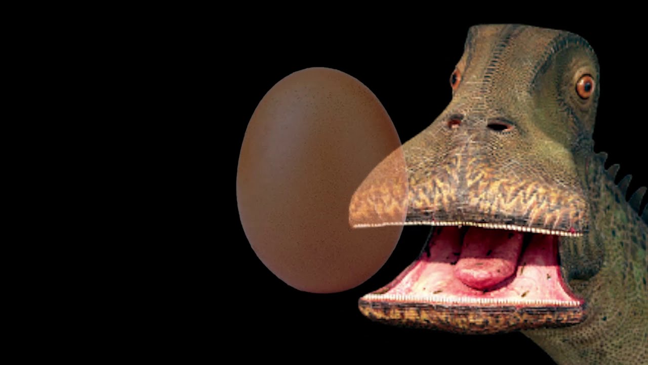 Dinosaur laying an egg TheZiver YouTube