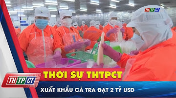 Xuất khẩu cá tra đạt 2 tỷ USD | Cần Thơ TV