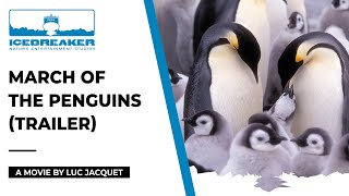 March Of The Penguins, a movie narrated by Morgan Freeman and directed by Luc Jacquet (trailer)