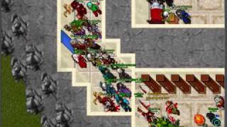 Tibia Berylia War October 2009
