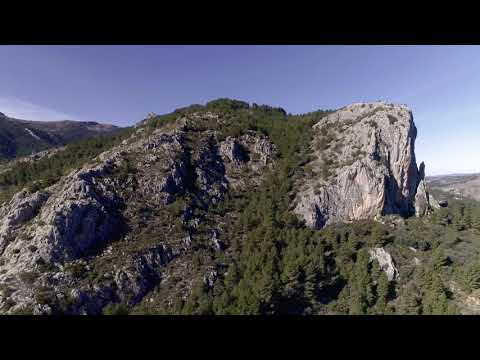Compromiso medioambiental - Alhambra Guitarras.