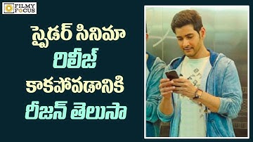 Shocking Reasons Behind Spyder Movie Release Delay || Mahesh Babu, AR Murugadoss, Rakul Preet