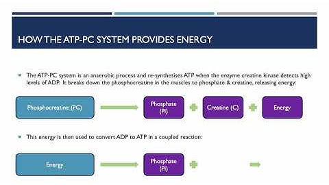 A-level PE - Year 2 - Anatomy & Physiology - Energy Transfer In the body - The three energy Systems