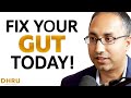 The 4 Ways to Improve GUT HEALTH Today! | Dhru Purohit