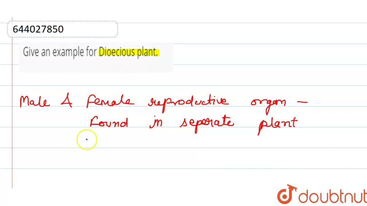 Give an example for Dioecious plant. | 9 | THE FLOWER  | BIOLOGY | ICSE | Doubtnut