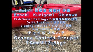 Large Orange Spotted Grouper チャイロマルハタ Kayak Fishing Okinawa;  Benoki, Okinawa; カヤック釣り in 沖縄県国頭村辺野喜