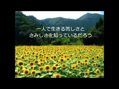 【S Yさん】 唄 因幡晃 カヴァ－：さだひろし