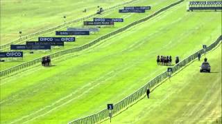 2014 Qipco 2000 Guineas Stakes - Night Of Thunder - Racing UK