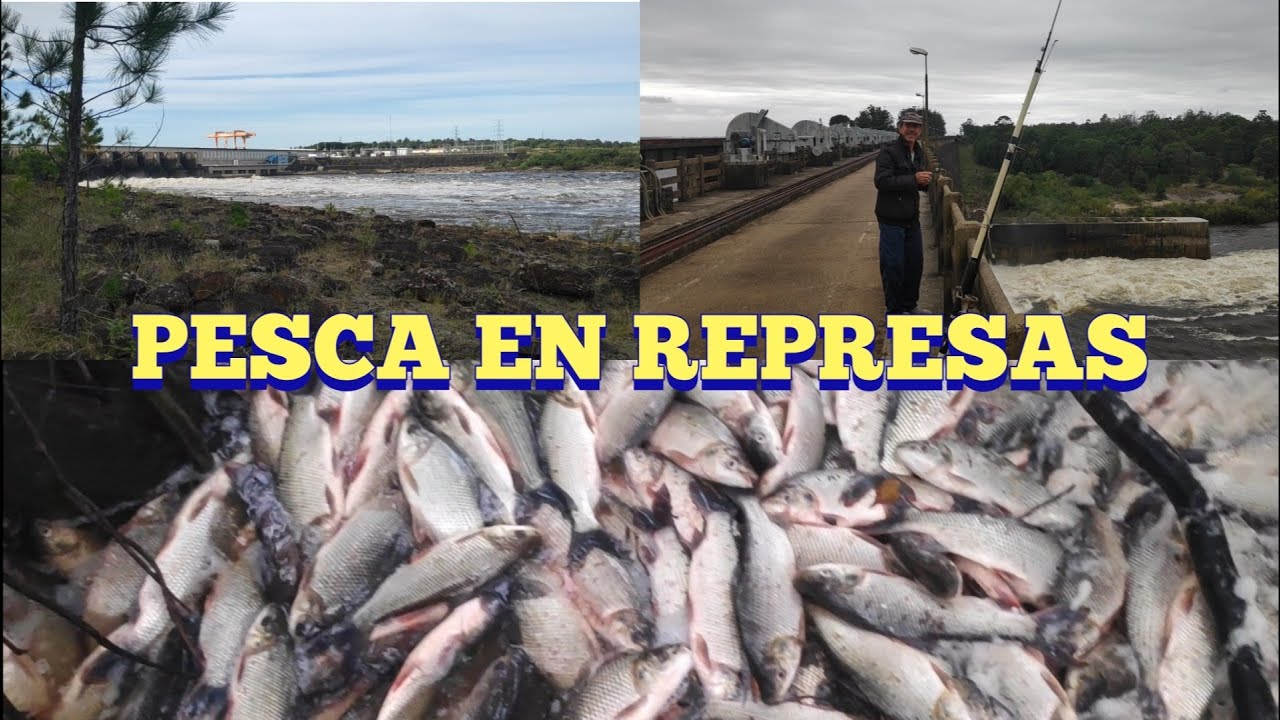 Recorriendo todas las represas del río Negro en Pesca en agua dulce