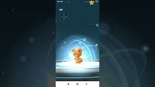 Teddiursa evolve into ursaring