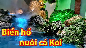 Trang trí Hồ cá Koi có nên sử dụng đèn led âm nước? | Omled Việt Nam