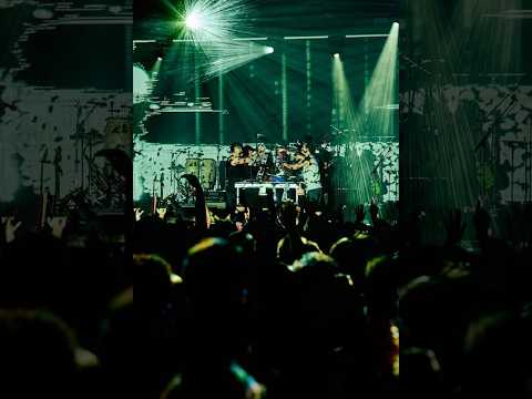 Blue Morpho - King Gizzard & The Lizard Wizard (Live in Berlin '25 Fan Mix)