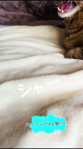 #レコーディングの合間シリーズ