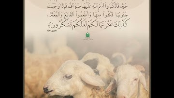 {والبدن جعلناها لكم من شعائر الله لكم فيها خير} القارئ رفعت أبوشادى