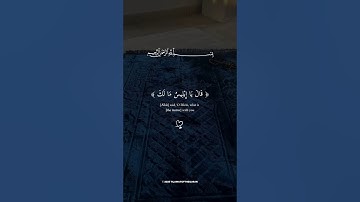 🌿🤍 تلاوة هادئة ومؤثرة بصوت الشيخ هزاع البلوشي | تريح القلب وتهدئ النفس ✨ #هزاع_البلوشي #short