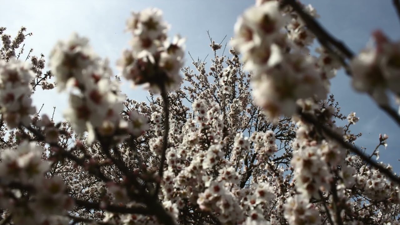 amazing photos  at William B pond