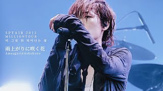 Video thumbnail of "SPYAIR - 雨上がりに咲く花 (비 그친 뒤 피어나는 꽃) / 한글자막"