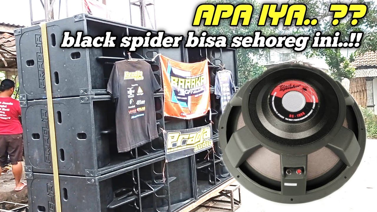 GAK MASUK AKAL ‼️ speaker black spider bisa sehoreg ini // pradja audio