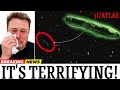 Elon Musk Just Issued a Warning About 3I Atlas — And NASA Is Silent!