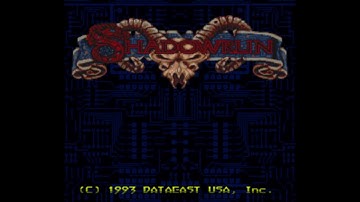 Shadowrun: 10: Interview with the Vampire