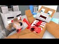 Dr. Noob Life - Operation 2 - Craftronix Minecraft Animation